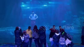Aquarium merman delights visitors with performance in China