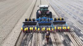 Farmer Plants Cumin in Korla, China