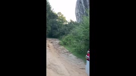 leopard injured due to the hunting sri lanka