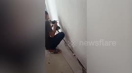 Black kitten stuck behind wooden wall rescued