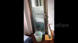 Dormitory bathroom sealed in thick ice after water pipe freezes and bursts in China