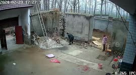 Man nearly crushed to death by collapsing wall during demolition
