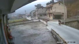 Motorcyclist's helmet saves her after being tripped by dog leash in China