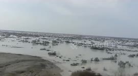 36 killed, 41 injured due to heavy rains in Pakistan