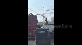 Sheep left dangling mid-air as horns snagged on cable during transport in China