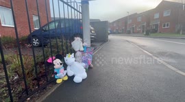Girl, 10, found dead at house in Rowley Regis, West Mids., while woman, 33, arrested for murder