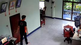 Kitten tries to squeeze through door as its closes but gets stuck