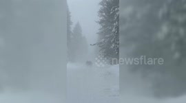 Blizzard batters parts of California and Nevada leaving thousands without power