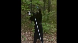 Bear Tries Stealing the Street Light Pole