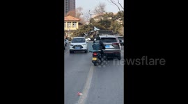 Chinese motorcyclist leaves onlookers stunned with unusual bird stroll