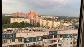 Feeding Black Kite From An Apartment Window