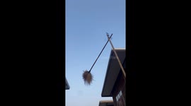 Resident makes this hilarious gadget to retrieve shuttlecock from roof