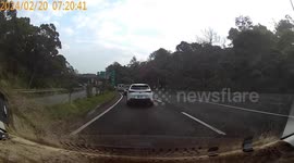 Eagle crash lands on moving car but picks itself back up again