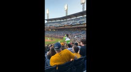 Pittsburgh Pirate Parrot Mascot Rallies the Crowd at a Baseball Game
