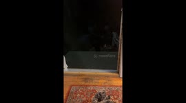 Black Bear Looks Both Ways Before Taking Snow Boot