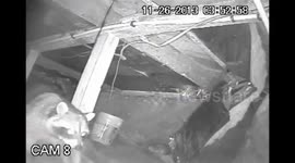 Raccoon gets in house, unplugs security camera. Put a camera up because I knew there was a raccoon getting in the house via crawlspace. He finds the camera and unplugs it.