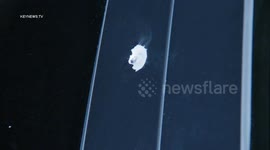 Vehicle Struck by Gunfire on 57 Freeway in Los Angeles, CA, USA