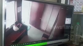 Quick-thinking boy traps leopard after it strayed into office in west India