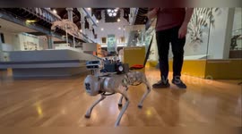 RoboGuide Robot Set to Transform Lives of Visually Impaired Individuals in Glasgow, UK