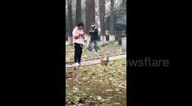 University campus stunned as student takes chicken for a walk in China