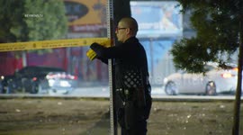 Interview With Sergeant on Fatal Hit-and-Run in Los Angeles, USA