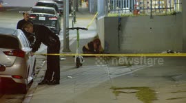 Suspects Shoot and Kill Dog in Los Angeles, USA