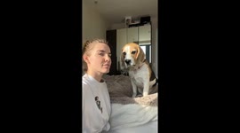 Dog Copies Owner's Tongue Out
