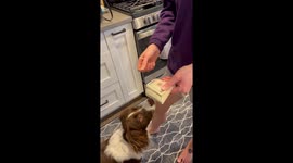 Wife Shows Her Money Counting Skills