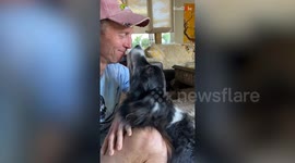 Animal Kisses