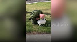 Dogs Reuniting with Soldiers