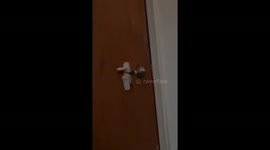 Cat Comes And Goes