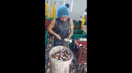 Woman shows remarkable knife skills chopping vegetables