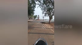 Crocodile ambles across lakeside road in Thailand