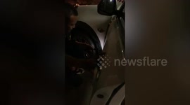 Black kitten stuck inside car engine rescued