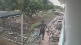 Woman falls into well and screams for help before rescue