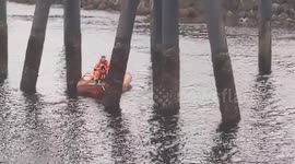 Ferry crew saves bird tangled in fishing line in Washington