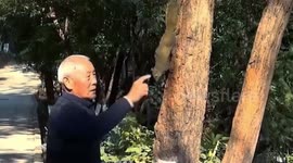 Chinese animal whisperer gains popularity for taming wild squirrels into pets