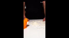 Chef shares a Bean & Beef Fusion recipe in a creative motion picture style