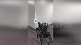 Florida sheriff's office unveils new crime-fighting robot dog