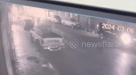 Pedestrian injured when ravenous monkeys snatch her bag full of food