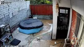 Slippery situation: husband's hasty dash to dog's aid ends with a comical tumble