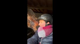 Buckle mishap: horseplay in Kettenkamp leaves owner with a blue finger