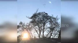 Pilot and passenger emerge unscathed as light aircraft crashes in Washington