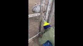 Rhea Steals Man's Hat