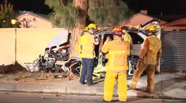 Firefighters rescue a victim from car to tree collision in Los Angeles, USA