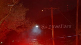 Large Fallen Tree Takes Down Power Lines in Glendale, LA, USA