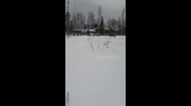 Owl's unexpected flight landing near skier