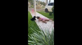 Pup Pulls Girl's Hair