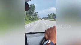 Pickup truck carries dozens of balloons that bounce on its back