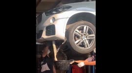 Massive snake extracted from car underside in Thailand